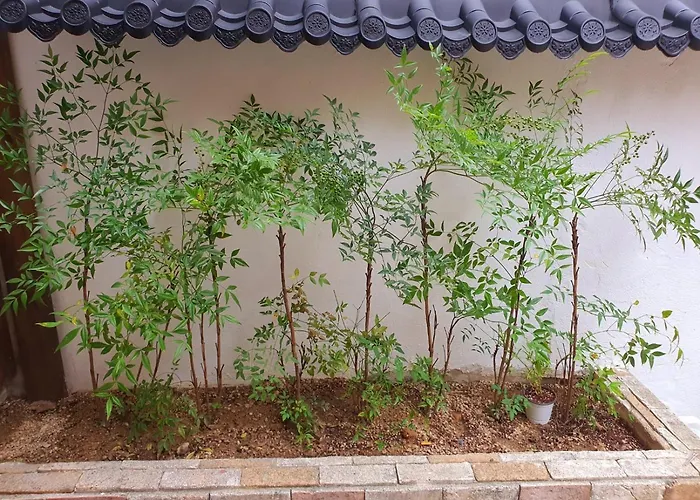호스텔 부산길